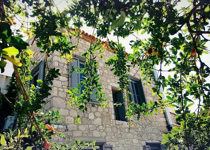 Sign Butik Hacimemis